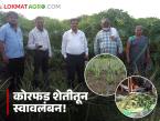 Farmer Success Story : कोरफडीच्या पानातून यशाची फुले; दांडे परिवाराचा नवा यशस्वी मार्ग वाचा सविस्तर - Marathi News | latest news Farmer Success Story: Flowers of success from aloe vera leaves; Read the Dande family's new path to success in detail | Latest agri-business News at Lokmat.com