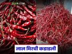 लाल मिरचीच्या दरात किलोमागे शंभर रुपयांची वाढ; वाचा ब्याडगी मिरचीला काय मिळतोय दर? - Marathi News | Red chilli price increased by Rs 100 per kg; Read: What price is being paid for Byadgi chilli? | Latest market-yard News at Lokmat.com