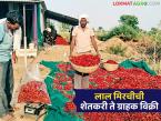 लाल मिरचीची थेट शेतकरी ते ग्राहक विक्री, एकराला लाख रुपये नफा, 200 रुपये किलोने विक्री  - Marathi News | Latest News Direct farmer-to-consumer sale of red chilli powder, profit of Rs. 1 lakh per acre | Latest success-story News at Lokmat.com