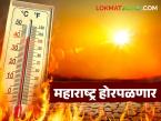 Heat Wave Alert : राज्यात उष्णतेची तीव्र लाट येण्याचा इशारा; कोणत्या भागात कधी राहणार धोका? - Marathi News | Heat Wave Alert : Warning of a severe heat wave in the state; In which areas will the danger remain? | Latest weather News at Lokmat.com