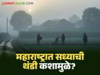 Cold Weather : महाराष्ट्रात सध्याची थंडी कशामुळे? थंडी कधीपर्यंत कमी होणार, वाचा सविस्तर  - Marathi News | Latest News thandi What is reason for current cold weather in Maharashtra read in detail | Latest weather News at Lokmat.com