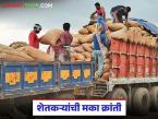 मका उत्पादनाचा नवा पॅटर्न, तब्बल 20 हजार क्विंटलचे विक्रमी उत्पन्न, कसा मिळाला एकरी 30 क्विंटलचा उतारा - Marathi News | Latest news record yield of 20 thousand quintals, shankarnagar village maze crop story | Latest success-story News at Lokmat.com