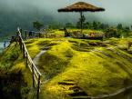 Travel : अवघ्या २५ हजारांत करा 'भारताच्या स्कॉटलँड'ची ट्रिप! बजेट प्लॅनिंगसाठी फॉलो करा 'या' खास टिप्स - Marathi News | Travel: Take a trip to 'Scotland of India' for just Rs 25,000! Follow these special tips for budget planning | Latest travel Photos at Lokmat.com Travel : अवघ्या २५ हजारांत करा 'भारताच्या स्कॉटलँड'ची ट्रिप! बजेट प्लॅनिंगसाठी फॉलो करा 'या' खास टिप्स - Marathi News | Travel: Take a trip to 'Scotland of India' for just Rs 25,000! Follow these special tips for budget planning | Latest travel Photos at Lokmat.com