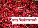 Lal Mirchi Market : मिरचीचे  दर कडाडले, संकेश्वेरी, लवंगी, बेडगी मिरचीचे प्रति किलो काय दर आहेत?  - Marathi News | Latest News Mirchi Market Chilli prices What are the prices per kg of Sankeshwari, Lavangi, Bedgi chillies | Latest farming-ideas News at Lokmat.com
