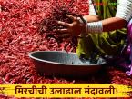 नंदुरबार मार्केटला मिरची आवक मंदावली, चांगल्या दर्जाच्या मिरचीला काय दर मिळतोय?  - Marathi News | Latest News Mirchi Market Chilli arrivals to Nandurbar market have slowed down | Latest market-yard News at Lokmat.com