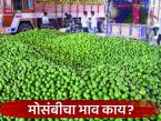Mosambi Bajarbhav : मोसंबीला धक्का! टनामागे भाव थेट 'इतक्या' हजारांवर वाचा सविस्तर - Marathi News | latest news Mosambi Bajarbhav: Mosambi is shocked! The price per ton directly reaches 'so many' thousands Read in detail | Latest market-yard News at Lokmat.com