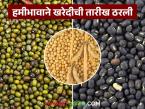 सोयाबीनसह उडीद, मुग हमीभावाने खरेदीची तारीख ठरली; प्रत्यक्ष खरेदीला कधीपासून सुरवात? - Marathi News | Date set for procurement of soybeans, urad, moong at msp price; When will the actual procurement start? | Latest market-yard News at Lokmat.com