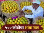 ४९ वर्षांचा इतिहास अन् आंबा व्यापारात सुमारे ५०० कोटींची उलाढाल करणारी 'ही' आहे महाराष्ट्रातील प्रसिद्ध बाजार समिती - Marathi News | This is the famous market committee in Maharashtra with a history of 49 years and a turnover of around Rs 500 crore in mango trade. | Latest market-yard News at Lokmat.com