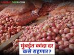 राज्यभरातून मुंबईमध्ये विक्रीला येणारा कांदा यंदा किती भाव खाणार? वाचा सविस्तर - Marathi News | How much will onions sold in Mumbai from across the state fetch this year? Read in detail | Latest market-yard News at Lokmat.com