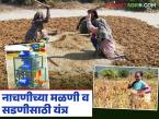 नाचणीची मळणी व सडणी ही दोन्ही कामे होणार आता एकाचवेळी; कोकण कृषी विद्यापीठाने विकसित केलं 'हे' नवे यंत्र - Marathi News | Now both the work of threshing and dehusking of ragi will be done simultaneously; Konkan Agricultural University has developed 'this' new machine | Latest agri-business News at Lokmat.com