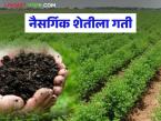 Organic Farming : महागडी खते सोडून शेतकरी आता करतायत 'ही' शेती वाचा सविस्तर - Marathi News | latest news Organic Farming: Farmers are now doing 'this' farming instead of expensive fertilizers. Read in detail | Latest farming-ideas News at Lokmat.com