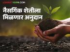 Natural Farming : नैसर्गिक शेतीला मोठी चालना; सरकार देणार अनुदान वाचा सविस्तर - Marathi News | latest news Natural Farming: A big boost to natural farming; Government will provide subsidy | Latest farming-ideas News at Lokmat.com