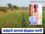 बेलवाडीच्या शेतकऱ्याच्या कांद्याची करुण गाथा; १.३७ लाखांचा खर्च, अन् हाती आले फक्त ८ हजार - Marathi News | The tragic story of a Belwadi farmer's onion; 1.37 lakhs spent, and only eight thousand were received | Latest farming-ideas News at Lokmat.com