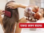 हेअर फॉलचा वैताग! लसूण की कांद्याचा रस... काळ्याभोर लांब, जाड केसांसाठी सर्वात बेस्ट काय? - Marathi News | onion or garlic juice which one is best for hair growth know this best homemade remedy | Latest sakhi Photos at Lokmat.com हेअर फॉलचा वैताग! लसूण की कांद्याचा रस... काळ्याभोर लांब, जाड केसांसाठी सर्वात बेस्ट काय? - Marathi News | onion or garlic juice which one is best for hair growth know this best homemade remedy | Latest sakhi Photos at Lokmat.com