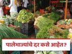 Vegetable Market : पालेभाज्यांच्या उत्पादनात घट, दरात दुप्पट वाढ, केवळ कांदा, बटाटा दर कमी, वाचा सविस्तर  - Marathi News | Latest News Decrease in production of leafy vegetables, double increase in prices, only onion, potato prices are low, read in detail | Latest market-yard News at Lokmat.com