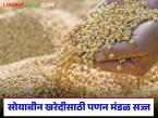 Soybean Kharedi : सोयाबीन खरेदीला गती; पणन मंडळाची तयारी पूर्ण वाचा सविस्तर - Marathi News | latest news Soybean Kharedi: Soybean procurement accelerates; Marketing Board's preparations are complete Read in detail | Latest farming-ideas News at Lokmat.com