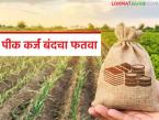 Pik Karj : 'पीक कर्ज वाटप करताना नवीन मार्गदर्शक सूचना, या' शेतकऱ्यांना पीक कर्ज मिळणार नाही! - Marathi News | Latest News Crop Loans Suspended for Joint Accounts: Jalgaon District Bank Issues Directive | Latest farming-ideas News at Lokmat.com