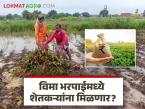 Agriculture News : नुकसान भरपाई पुरेशी नसून पीक विमा भरपाईसुद्धा मिळायला हवी, शेतकरी संकटात - Marathi News | Latest News Agriculture news Injustice in crop insurance compensation! Not even guaranteed price; farmers in crisis | Latest farming-ideas News at Lokmat.com