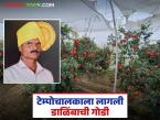 डाळिंब वाहतूक करणाऱ्या टेम्पो ड्रायव्हरला लागली शेतीची गोडी; दीड एकर बागेतून घेतले १५ लाखांचे उत्पन्न - Marathi News | A tempo driver who transports pomegranates got interested in farming; earned an income of 1.5 lakhs from a one and a half acre orchard | Latest success-story News at Lokmat.com