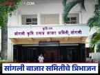 सांगली बाजार समितीचे विभाजन; आता 'या' तीन तालुक्यांसाठी होणार स्वतंत्र बाजार समित्या - Marathi News | Sangli Market Committee split; Now there will be separate market committees for 'these' three talukas | Latest market-yard News at Lokmat.com
