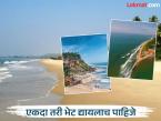 गोव्याला विसरून जाल! भारतातील पाच जबरदस्त बीच, एक आहे कोकणातील, तुमची सुट्टी दुप्पट आनंददायी होईल - Marathi News | You'll forget about Goa Five amazing beaches in India, your vacation will be twice as enjoyable | Latest travel Photos at Lokmat.com गोव्याला विसरून जाल! भारतातील पाच जबरदस्त बीच, एक आहे कोकणातील, तुमची सुट्टी दुप्पट आनंददायी होईल - Marathi News | You'll forget about Goa Five amazing beaches in India, your vacation will be twice as enjoyable | Latest travel Photos at Lokmat.com