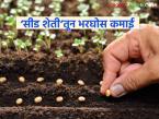 Seed Production Farming : १० गुंठ्यातून लाखोंची कमाई! 'या' जिल्ह्यात ७ हजार शेतकऱ्यांची ‘सीड शेती’तून भरघोस कमाई - Marathi News | latest news Seed Production Farming: Earning lakhs from 10 Gunthas! 7 thousand farmers in 'this' district earn huge income from 'seed farming' | Latest farming-ideas News at Lokmat.com