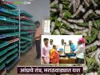 Sericulture Farming : सेलूच्या मातीत फुलला आंध्रचा 'रेशीम मॉडेल'; शेतकऱ्याचा यशाचा प्रेरणादायी प्रवास - Marathi News | latest news Sericulture Farming: Andhra's 'silk model' flourishes in the soil of Selu; A farmer's inspiring journey to success | Latest success-story News at Lokmat.com