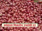 राज्यातील 'या' बाजारात कांद्याला मिळतोय सर्वाधिक दर; वाचा, काय आहे कारण? - Marathi News | Onion is getting the highest price in this market in the state; Read what is the reason? | Latest market-yard News at Lokmat.com