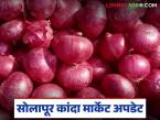 Kanda Bajar Bhav : सोलापुरात कांद्याची आवक घटल्यामुळे दरात झाली वाढ; वाचा कसा मिळतोय दर? - Marathi News | Kanda Bajar Bhav : Prices have increased due to reduced onion arrival in Solapur; Read how the price is being obtained? | Latest market-yard News at Lokmat.com