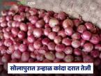 सोलापूर बाजार समितीमध्ये उन्हाळी कांद्याच्या दरात तेजी; वाचा कसा मिळतोय दर? - Marathi News | Summer onion prices rise in Solapur Market Committee; Read how the price is being obtained? | Latest market-yard News at Lokmat.com