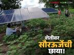 Solar Power : शेतीवर सौरऊर्जेची छाया; शेतजमीन भाड्याने देण्याचा वाढता कल वाचा सविस्तर - Marathi News | latest news Solar Power: The shadow of solar energy on agriculture; Growing trend of renting out agricultural land Read in detail | Latest farming-ideas News at Lokmat.com