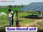 Solar Pump Scheme : दिवसा सिंचनाची क्रांती; सौर पंप स्थापनेत महावितरणचा जागतिक उच्चांक वाचा सविस्तर - Marathi News | latest news Solar Pump Scheme: Revolution in daytime irrigation; Mahavitaran's world record in solar pump installation Read in detail | Latest farming-ideas News at Lokmat.com