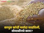 कापूस खरेदी मर्यादा वाढविली, साेयाबीनचे काय? राज्यभर सरसकट एकच अट, वाचा सविस्तर - Marathi News | Latest News Cotton purchase limit increased, what about soybeans Same condition across maharashtra | Latest market-yard News at Lokmat.com