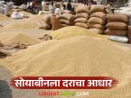 Soybean Market : रिसोडमध्ये सोयाबीनची मोठी आवक; भावातही उंच भरारी! - Marathi News | latest news Soybean Market: Large arrival of soybeans in Risod; Prices also skyrocket! | Latest market-yard News at Lokmat.com