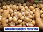 यंदाच्या हंगामात १९ लाख टन सोयाबीन हमीभावाने खरेदी करणार; पणन मंत्र्यांची माहिती - Marathi News | 19 lakh tonnes of soybeans will be purchased at guaranteed price this season; Marketing Minister informed | Latest market-yard News at Lokmat.com