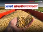 Soybean Bajar Bhav : सोयाबीन दरात चढ-उतार; लातूर, मेहकर, चिखली बाजार आघाडीवर - Marathi News | latest news Soybean Bajar Bhav: Soybean prices fluctuate; Latur, Mehkar, Chikhli markets are leading | Latest market-yard News at Lokmat.com