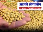 Soybean Bajar Bhav : विदर्भ-मराठवाड्यात सोयाबीनचे कसे आहेत दर जाणून घ्या सविस्तर - Marathi News | latest news Soybean Bajar Bhav : Know the prices of soybeans in Vidarbha-Marathwada in detail | Latest market-yard News at Lokmat.com
