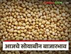 Soybean Bajar Bhav : सोयाबीनच्या आवकेत घट; पिवळ्या जातीला मागणी कायम वाचा सविस्तर - Marathi News | latest news Soybean Bajar Bhav: Decrease in soybean arrivals; Yellow variety continues to be in demand Read in detail | Latest market-yard News at Lokmat.com