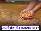 Soybean Bajar Bhav : सोयाबीन बाजारात आवक वाढली; कुठे भाव वधारले? वाचा सविस्तर - Marathi News | latest news Soybean Bajar Bhav: Soybean arrivals increased in the market; Where did the prices increase? Read in detail | Latest market-yard News at Lokmat.com
