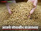 Soybean Bajar Bhav : सोयाबीन बाजारात तेजी; पिवळ्या जाती उच्चांकी दर वाचा सविस्तर - Marathi News | latest news Soybean Bajar Bhav : Soybean market booms; Yellow variety prices highest Read in detail | Latest market-yard News at Lokmat.com