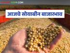 Soybean Bajar Bhav : सोयाबीनची आवक घटली; कुठे दर वाढले, कुठे दबाव? वाचा सविस्तर - Marathi News | latest news Soybean Bajar Bhav: Soybean arrivals decreased; Where did the prices increase, where was the pressure? Read in detail | Latest market-yard News at Lokmat.com