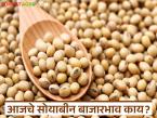 Soybean Bajar Bhav : सोयाबीन बाजारात आवक वाढतेय; दर्जेदार मालाला चांगला दर वाचा सविस्तर - Marathi News | latest news Soybean Bajar Bhav : Soybean arrivals are increasing in the market; Good prices for quality goods Read in detail | Latest market-yard News at Lokmat.com
