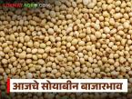 Soybean Bajar Bhav : देवणी बाजारात सोयाबीनची विक्री मंद; दरात स्थिरता वाचा सविस्तर - Marathi News | latest news Soybean Bajar Bhav : Soybean sales slow in Deoni Bazaar; Price stability Read in detail | Latest market-yard News at Lokmat.com