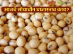 Soybean Bajar Bhav : पिवळ्या सोयाबीनला भाव, दरात सुधारणा; लातूर, अकोला आघाडीवर - Marathi News | latest news Soybean Bajar Bhav : Yellow soybean prices, price improvement; Latur, Akola in the lead | Latest market-yard News at Lokmat.com