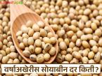 Soybean Bajar Bhav : सोयाबीन बाजारात तेजी कायम; मिल क्वॉलिटीला सर्वाधिक मागणी वाचा सविस्तर - Marathi News | latest news Soybean Bajar Bhav : Soybean market continues to boom; Mill quality is in highest demand Read in detail | Latest market-yard News at Lokmat.com