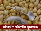 NAFED Soybean Kharedi : नाफेड सोयाबीन नोंदणीला मुदतवाढ; हमीभावाची आशा वाढली वाचा सविस्तर - Marathi News | latest news NAFED Soybean Kharedi: Nafed soybean registration extended; Hopes for guaranteed price increased Read in detail | Latest farming-ideas News at Lokmat.com