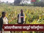 Farmer Success Story : आंतरपीकाचा जादूई फॉर्म्युला; हळद-मिरचीने बदलली जयराम यांची शेतीची दिशा - Marathi News | latest news Farmer Success Story: The magic formula of intercropping; Turmeric and chilli changed the direction of Jayaram's farming | Latest success-story News at Lokmat.com