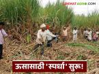 Sugarcane Crushing : दोन जिल्ह्यांतील १८ साखर कारखान्यांमध्ये ऊसासाठी 'स्पर्धा' सुरू वाचा सविस्तर - Marathi News | latest news Sugarcane Crushing: 'Competition' for sugarcane begins in 18 sugar factories in two districts Read in detail | Latest farming-ideas News at Lokmat.com