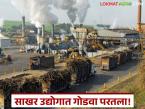 Sugarcane Crushing : साखर उद्योगात दिलासादायक वाढ; राज्यात नफ्यातील कारखान्यांचा आकडा झपाट्याने वाढला - Marathi News | latest news Sugarcane Crushing: A comforting growth in the sugar industry! The number of profitable factories in the state has increased rapidly. | Latest agri-business News at Lokmat.com