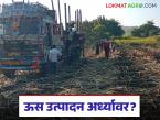 Sugarcane crop loss : अतिवृष्टीने ऊस कोलमडला; उत्पादन आले निम्म्यावर वाचा सविस्तर - Marathi News | latest news Sugarcane crop loss: Heavy rains damaged sugarcane; Production reduced to half Read in detail | Latest farming-ideas News at Lokmat.com